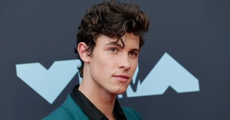 Over the last several years, the Canadian singer has had a meteoric rise to stardom! Take our trivia quiz to see how well you know Shawn Mendes! Shawn Mendes Quiz, Trivia Quiz, Shawn Mendes, Trivia, Colorado, Fan, Concert, Celebrities