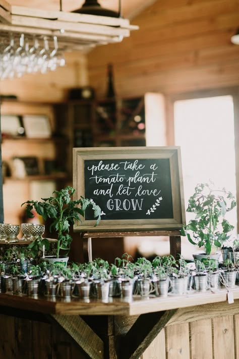 Wedding Gifts For Guests Plants, Wedding Souvenirs Plants, Plant Wedding Souvenir, Herbs For Wedding, Plant Thank You Gifts Wedding, Seedling Wedding Favors, Herb Wedding Favors, Propagation Wedding Favors, Plant Party Favors Wedding