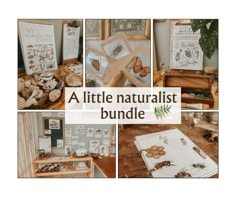 A little naturalist BUNDLE Nature Montessori, Homeschool In Nature, Montessori Nature Table, Homeschool Nature Table, Naturalist Decor, Charlotte Mason Nature Journal, Nature Sketch, Embrace Nature, Nature Play