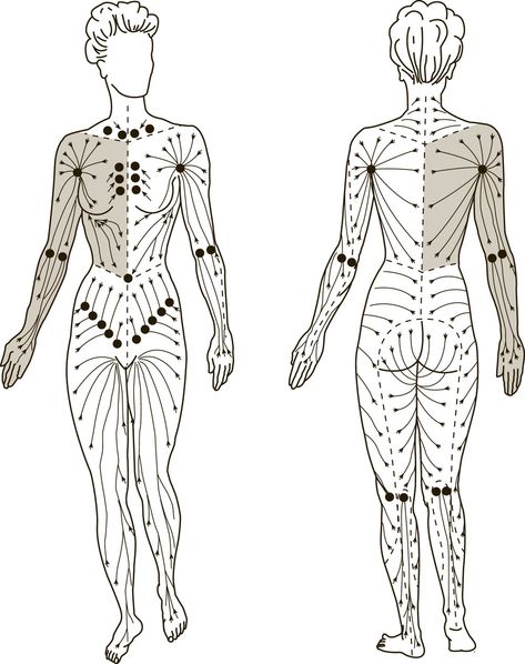 Linfatic System Massage, Limphodrenage Massage, Reflexology Benefits, Lymph Drainage Massage, Full Body Massage Techniques, Drainage Massage, Human Body Organs, Body Massage Techniques, Massage Therapy Techniques