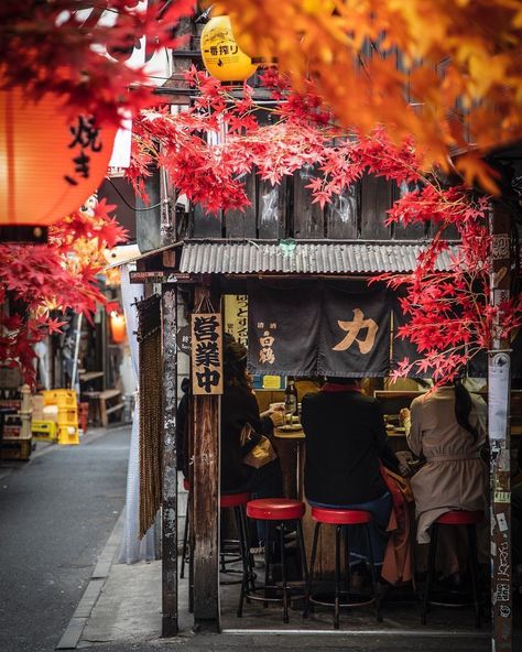 Bonito, Japan In Autumn Aesthetic, Tokyo Fall Aesthetic, Autumn Japan Photography, Tokyo Winter Aesthetic, Japan Aesthetic Autumn, Tokyo In Autumn, Japanese Autumn Aesthetic, Fall In Japan Aesthetic