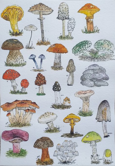 Watercolor Mashrom, Watercolor Mushrooms Painting, Cottage Core Watercolor Paintings, Mushroom Watercolor Paintings Easy, Mushroom Watercolor Art, Watercolour Mushroom Paintings, How To Paint Mushrooms, Cottage Core Paintings, Simple Mushroom Painting