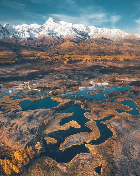 Nature of the Altai Republic, Russia - Imgur Russian Mountains, Russia Landscape, Mountain Sheep, Altai Mountains, Relaxation Music, Biome, Paradise On Earth, Landscape Scenery, Nature Images