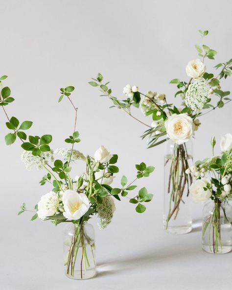 bough + twig on Instagram: “Asssorted bud vases for K's wedding table decoration. 🌿” Simple Wedding Flower Table Arrangements, Bud Vases With White Flowers And Greenery, Wedding Tablescapes Greenery, Small Bud Vase Arrangements, Plant Centerpieces For Party, Wildflower Bud Vases Wedding, Budvase Tablescape Wedding, Bud Vases White Flowers, Small Table Flower Arrangements