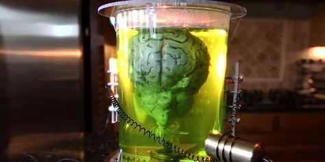 Brain In A Jar, Muscle Fiber, Bronze Spray Paint, Tom Baker, Halloween Graveyard, Homemade Halloween Decorations, Halloween 2015, Green Food Coloring, Old Computers