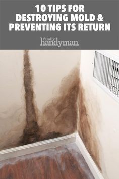 How To Get Rid Of Mold On Walls, Baking Powder For Cleaning, Baking Soda Drain Cleaner, What Is Baking Soda, Natural Odor Remover, Baking Soda For Skin, Baking Soda Cleaner, Baking Soda Health, Baking Soda On Carpet