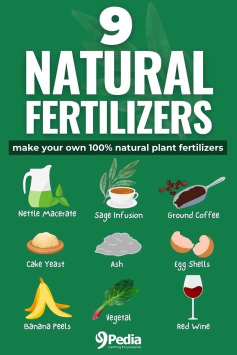 9 Natural Fertilizers for House Plants You Can Make Yourself #naturalfertilizers #fertilizerrecipe #homemadefertilizers Diy Vegetable Fertilizer, Homemade Fertilizer For Vegetables, Fertilizers For Plants, Diy Organic Fertilizer, Mini Homestead Ideas, Homemade Plant Fertilizer Recipe, Homemade Fertilizer For House Plants, Natural Fertilizer For Vegetable Garden, Fertilizer For Water Plants