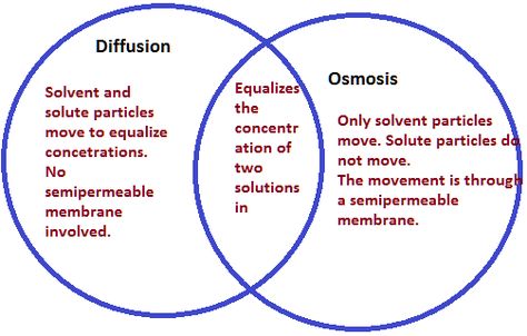 Image Biochem Notes, Diffusion And Osmosis, Diffusion Osmosis, Passive Transport, Biochemistry Notes, Science Tricks, Osmotic Pressure, Learn Biology, Chemistry Basics