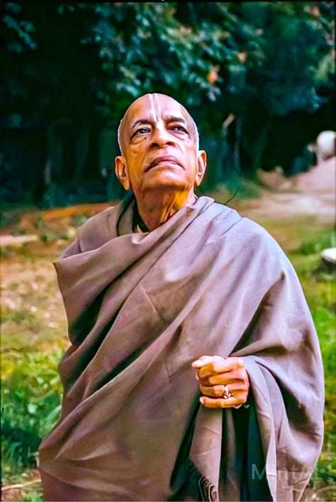 Ragavendra Swamy Images Hd 1080p, Srila Prabhupada Wallpaper, Prabhupada Pictures, Sri Guru Raghavendra Swamy Hd Images, Srila Prabhupada Hd Images, Srila Prabhupada Painting, Swami Prabhupada, Lord Jagannath, Aries Art