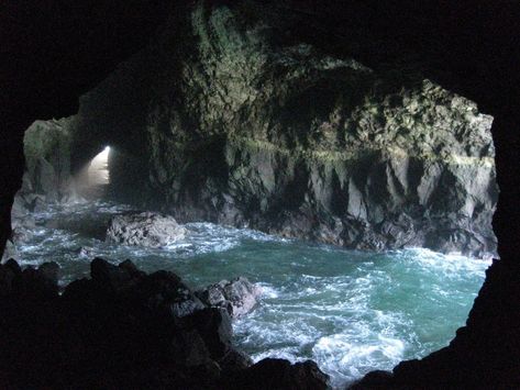 Oregon Coast Sea lion cave