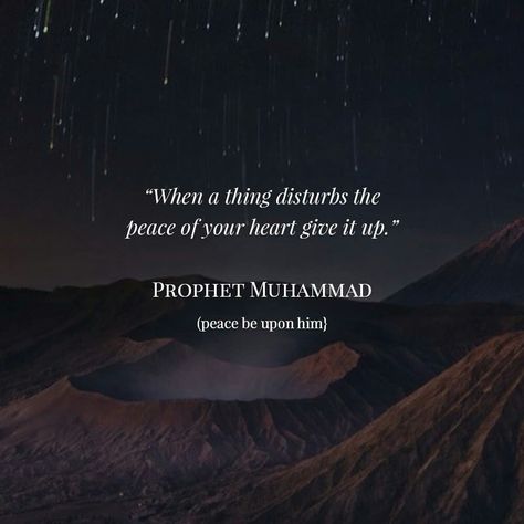 Prophet Pbuh Quotes, Eid Milad Un Nabi Thoughts, Prophet Quotes Islam, Nabi Muhammad Quotes, Eid Milad Un Nabi Quotes, Milad Un Nabi Quotes, Milad Nabi, Muhammad Prophet, Islamic Tweets