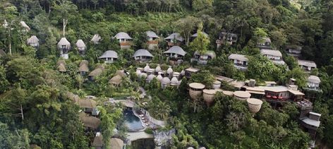 Keemala Resort, Nest Tree House, Keemala Phuket, Redang Island, Elephant Riding, Tree House Resort, See Animals, Slow Loris, Phuket Island