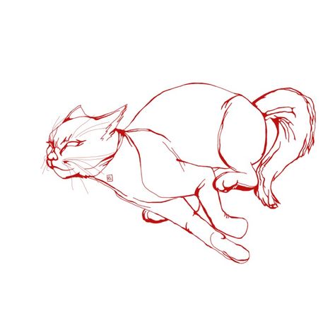 Cat is runing Cat Running Drawing Reference, Cat Anatomy Drawing Reference, Scared Cat Drawing Reference, Cat Stalking Reference, Cat Pouncing Drawing, Stretching Cat Drawing, Cat Poses Art, Cat Swimming Drawing, Cat Body Reference