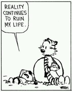 Calvin Und Hobbes, Calvin And Hobbes Quotes, Calvin And Hobbes Comics, Calvin Hobbes, Cartoon Strip, Bd Comics, Calvin And Hobbes, E Card, Fun Comics