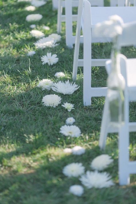 Wedding Aisle Plants, Simple Rustic Aisle Decor, Greenery Down Aisle, Long Wedding Aisle, Ground Aisle Arrangements, Bench Aisle Decorations Wedding, Flowers In Ground Wedding Aisle, Single Stem Aisle, Simple Aisle Flowers