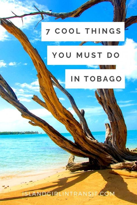 “There is a lot to see and do when you're visiting Tobago but I'm partial to a few activities. Check out my favorite things to do on the island.” Tobago Vacation, Trinidad Vacation, Trinidad Food, Port Of Spain Trinidad, Dreamy Destinations, Amazing Experiences, 2020 Wallpaper, Aruba Travel, Travel Tropical