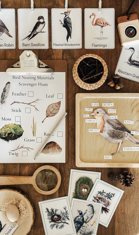 The For the Love of Homeschooling Nature Study Club {Try it FREE!} Pre K Nature Study, Montessori Unit Studies, Homeschool Nature Activities, Preschool Study Units, Nature Study For Preschoolers, Nature Shelf Homeschool, Nature School Classroom, Homeschool Flatlay, Christian Homeschool Aesthetic