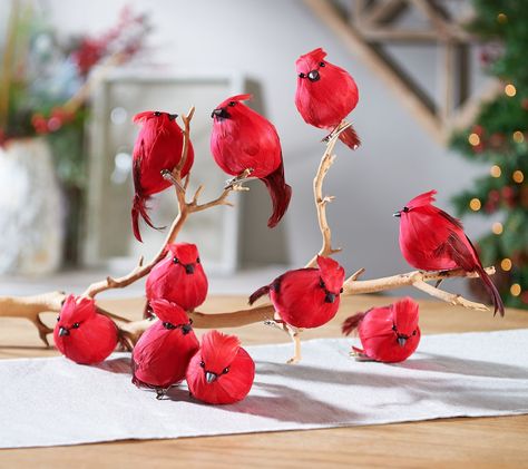 White Twig Tree, Cardinal Decor, Elegant Thanksgiving, Valerie Parr Hill, Twig Tree, Bird Christmas, Bird Figure, Cardinal Bird, Cardinal Birds