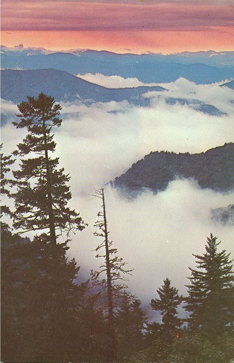 Vintage Travel Postcards: Great Smoky Mountains National Park Smokey Mountains Aesthetic, Smoky Mountain National Park Pictures, Great Smoky Mountains Photography, Smoky Mountain Pictures, Great Smoky Mountains Aesthetic, Smokie Mountains, Mountain Vintage, Vintage Postcards Travel, Nice Place