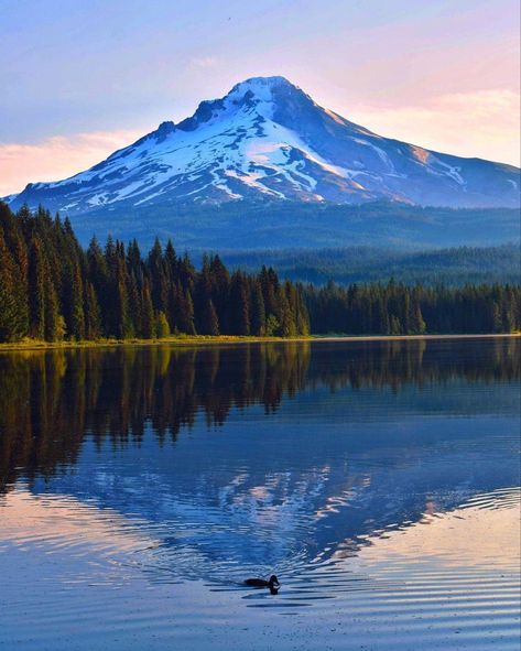 Trillium Lake In Oregon, USA 📷: [instagram.com/ezra_rogers_photography] Trillium Lake, Oregon Usa, Oregon, Lake, Photography, Travel, Quick Saves, Instagram