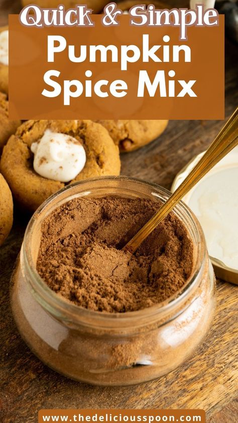 Make the best homemade pumpkin pie spice blend in just a few minutes with this easy recipe. Perfect for adding a rich, flavorful touch to your favorite fall dishes, this blend is a must-have for anyone who loves the cozy taste of autumn. With just a few common spices, you can have a delicious spice mix ready to go for all your baking needs. Pumpkin Pie Spice Mixture, Mccormick Pumpkin Pie Spice Recipe, Pumpkin Spice Blend Recipe, Pumpkin Spice Homemade, Pumpkin Pie Spice Mix Recipes, Pumpkin Spice Seasoning Recipe, Apple Pie Spice Mix Recipe, Pumpkin Spice Diy, Pumpkin Spice Mix Recipe