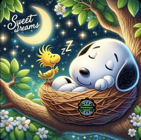 Sleeping Snoopy - Sweet Dreams Funny Good Night Pictures, Cute Good Night Messages, Goodnight Baby, Sweet Dreams Pictures, Dreams Pictures, Goodnight Snoopy, Good Morning Snoopy, Good Night Funny, Happy Birthday Greetings Friends