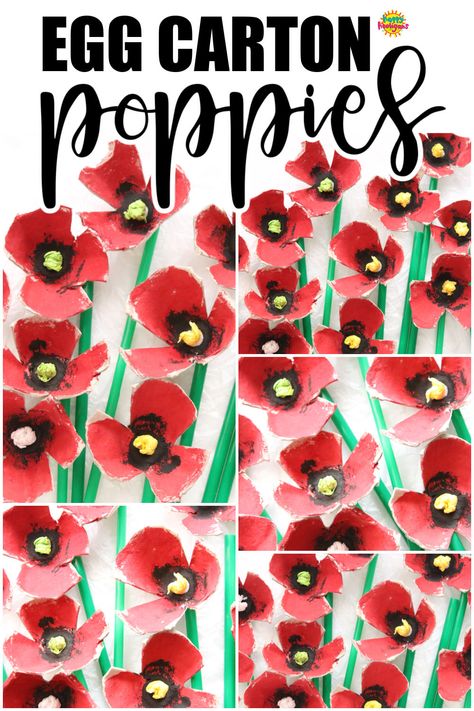 Easy egg carton poppies for kids to make and use for Veteran's Day and Remembrance Day crafts and art projects. #HappyHooligans #EggCarton #Poppy #Craft #Poppies #RemembranceDay #VeteransDay #November11 #Kids #Crafts #Art #AnzacDay Remembrance Day Crafts, Poppy Crafts, Poppy Craft For Kids, Remembrance Day Activities, Flowers Paper Craft, Flower Wall Decoration, Remembrance Day Art, Poppy Craft, Remembrance Day Poppy