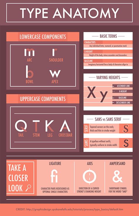 https://www.behance.net/gallery/68432549/Type-Anatomy-Infographic Type Pairing Design, Typographic Infographic, Anatomy Graphic Design, Anatomy Infographic, Font Anatomy, Typography Anatomy, Anatomy Of Type, Anatomy Graphic, Anatomy Of Typography