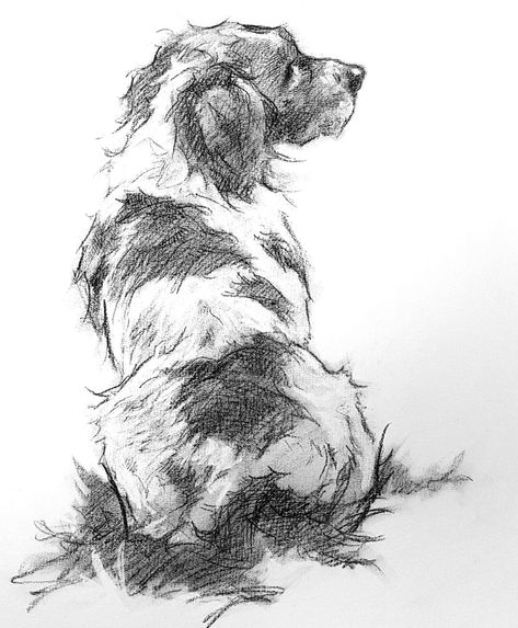 Dog Drawing Detailed, Cute Dogs Sketches, Dog Pen Drawing, Dog Sketch Pencil, Art Sketches Animals, Dog Drawing Sketches, Dog Drawing Pencil, Cute Dog Sketch, Sketches Dog