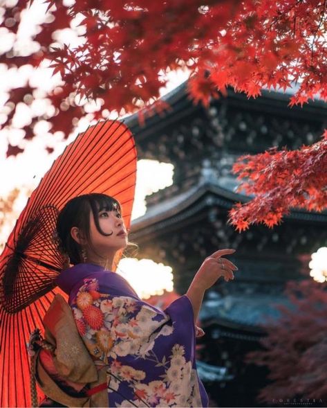 Japan Autumn, Movie Color Palette, Fine Art Portrait Photography, Animal Portraits Art, Standing Poses, Human Poses Reference, Fall Photoshoot, Human Poses, Japan Photo