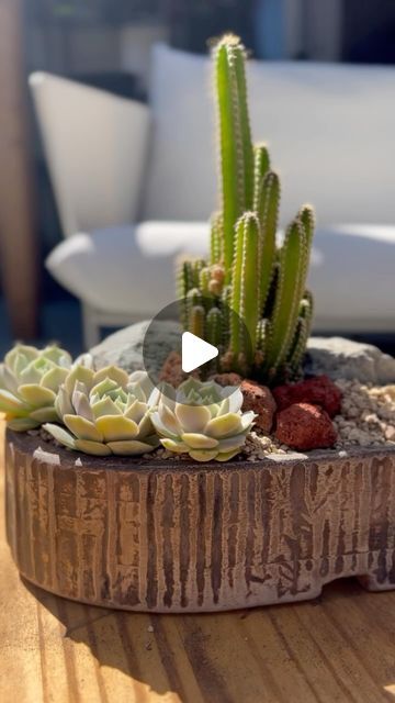 Ba Wan 543 on Instagram: "Yep, this cement pot was the key that started my journey! I’ve gotten lots of support and some criticism, but I take it all in stride. I’m just here to document my process and share the joy of making cement pots.😌
#cement #planter #cardboard #diy" Cement Furniture, Cardboard Ideas, Cardboard Diy, Cement Diy, Ceramic Planter Pots, Plant Projects, Cement Pots, Concrete Projects, Concrete Diy