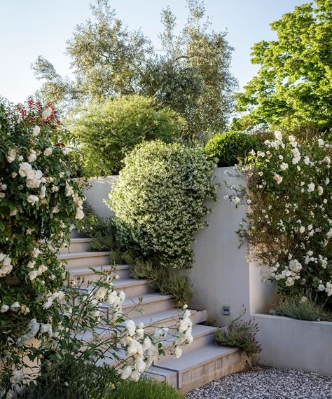 Tuscan Hillside Garden, Tuscan Landscaping Ideas, Tuscan Garden Design, Tuscan Landscape Design, Mediterranean Landscape Design, Mediterranean Garden Design, Tuscan Garden, Sloped Backyard, Mediterranean Landscaping