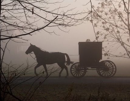 Amish Culture, Victorian Aesthetic, Horse And Buggy, Over The Garden Wall, Ciel Phantomhive, Amish Country, The Infernal Devices, Foto Vintage, Horse Drawn