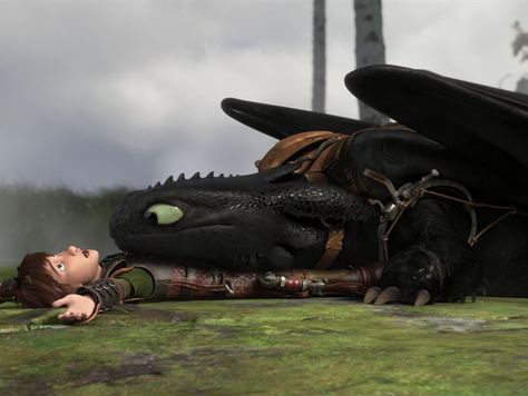 Hicks Und Astrid, The Hidden World, Httyd 3, Hiccup And Toothless, Httyd Dragons, Dragon Trainer, Dragon 2, Dragon Rider, Night Fury