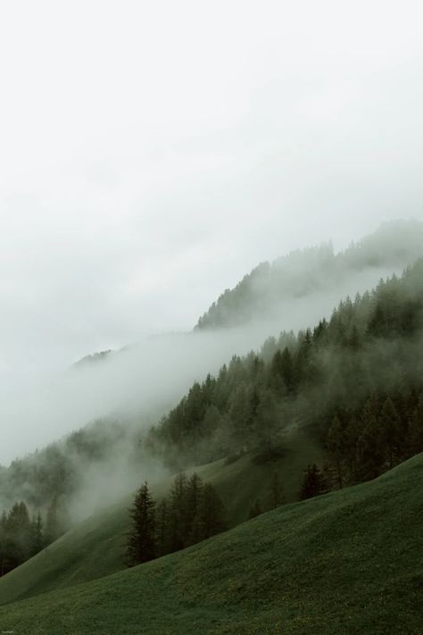 Nature, Mountain Aesthetic, Foggy Mountains, Hills Resort, Foggy Forest, Image Bank, Adobe Photoshop Lightroom, Natural Fragrances, Photoshop Lightroom