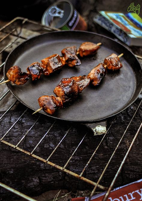 Iguana Recipes, Fallout Food Ideas, Fallout Food Recipe, Fallout Recipes, Fallout Food, Fallout Themed Party, Fallout Party, Fallout Birthday Party Ideas, Chicken Shashlik