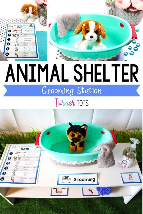 Animal Pretend Play Ideas, September Dramatic Play Ideas, Diy Pet Vet Dramatic Play, Preschool Play Center Ideas, Pet Dramatic Play Preschool, 1st Grade Dramatic Play, Pretend And Learn Center Ideas, Dramatic Play Center Themes, Pet Grooming Dramatic Play