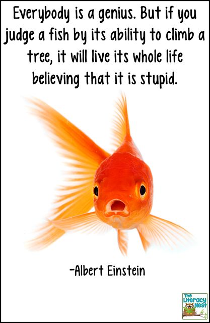 Fish In A Tree: A Book Review- A compelling story of a young girl struggling with dyslexia Fish In A Tree, Loving Quotes, Girl Struggles, Einstein Quotes, Ideas Quotes, Quotable Quotes, Albert Einstein, Goldfish, Quotes Funny