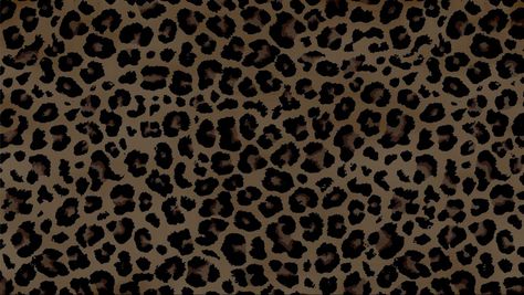 Leapord Back Wallpaper, Cheetah Laptop Wallpaper Aesthetic, Ipad Wallpaper Cheetah, Cheetah Print Ipad Wallpaper, Leopard Print Ipad Wallpaper, Ipad Wallpaper Leopard Print, Dark Cheetah Print Wallpaper, Leapord Wallpaper Laptop, Cute Macbook Screensavers