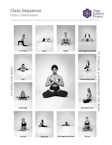 Yoga Class Plan, Hip Opening Yoga, Yoga Information, 20 Minute Yoga, Lotus Pose, Yoga Sequence, Yoga Iyengar, Advanced Yoga, Iyengar Yoga