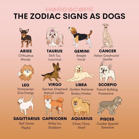 Zodiac Powers, Zodiac Signs As Dogs, Zodiac Sayings, Zodiac Signs Animals, Celtic Zodiac, Zodiac Signs Pictures, Dragon Zodiac, Virgo And Scorpio, Zodiac Signs Chart