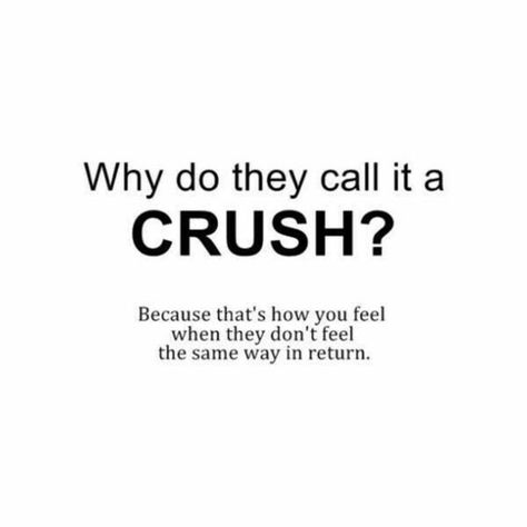 Love Quotes Crushes, Creative Clips, Crush Quotes For Him, Bahasa Jepun, Secret Crush Quotes, Butterfly Quotes, A Crush, Cool Ideas, Cute Love Quotes