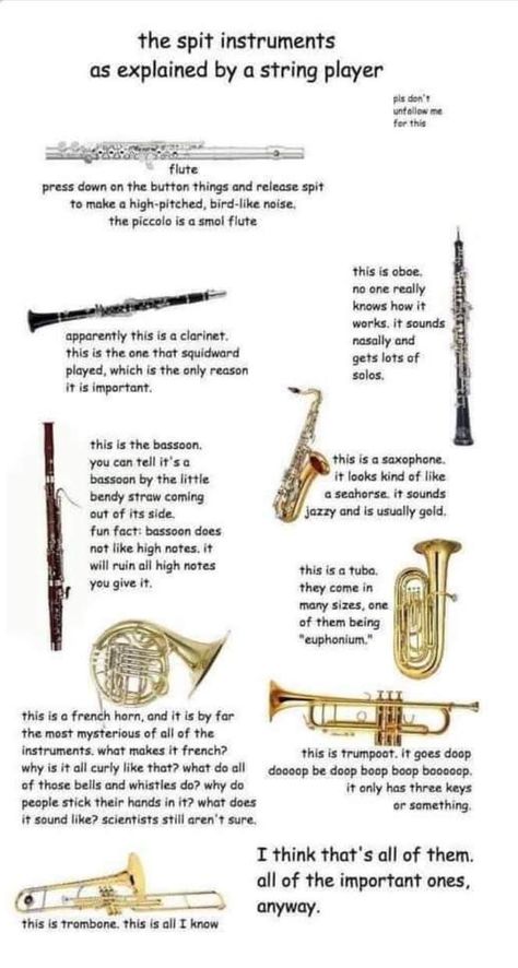 Funny Band Jokes Clarinets, Marching Band Aesthetic Flute, Flutist Aesthetic, Saxophone Humor, Bassoon Memes, Saxophone Jokes, Saxophone Aesthetic, Funny Band, Marching Band Memes