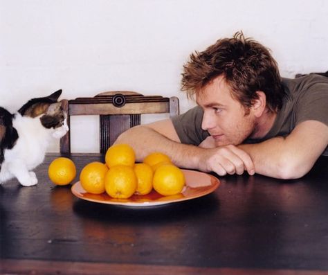 Ewan McGregor Celebrities With Cats, Men With Cats, Jonathan Rhys Meyers, Shia Labeouf, Logan Lerman, Gemma Arterton, Colin Farrell, Ewan Mcgregor, Ben Barnes