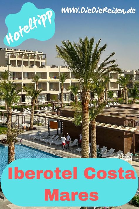 ✔Hoteltipp: Eine Hotelbeschreibung vom Iberotel Costa Mares - ein 5 Sterne Resort in Marsa Alam, Ägypten. Wir haben unseren Aufenthalt sehr genossen. Ägypten | Ägypten Hotel | Marsa Alam | Reise | Iberotel Costa Mares | AI Hotel Ägypten #diediereisen #hotel #Traumreise #fotolocations #instagramspots #hoteltipp #hoteltipps #urlaubägypten #relex #5sterneägypten #Travel #hotelmarsaalam #luxushotelägypten #aiägypten #iberotelcostamares #schnorcheln #seekuh #dugong #schildkröte #caretta Marsa Alam, All Inclusive, Hotel, House Styles, Travel