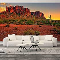 Check this out! Home Decor For Bedroom, Wallpaper Home Decor, Mountain Canvas, Mural Wall, Desert Sunset, Removable Wall Murals, Sunset Canvas, Sonoran Desert, Walls Room