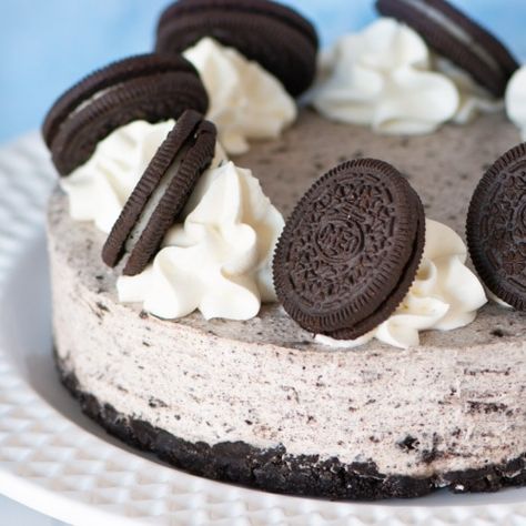 Charlotte's Lively Kitchen | Delicious, simple baking recipes, baking tools and calculators, and lots of tips and tricks. Oreo Torte, Oreo Cake Pops, Oreo Cheesecake Bites, No Bake Cheesecake Filling, Cake Oreo, Oreo Cheesecake Recipes, No Bake Oreo Cheesecake, Cheesecake Oreo, Oreo Biscuits