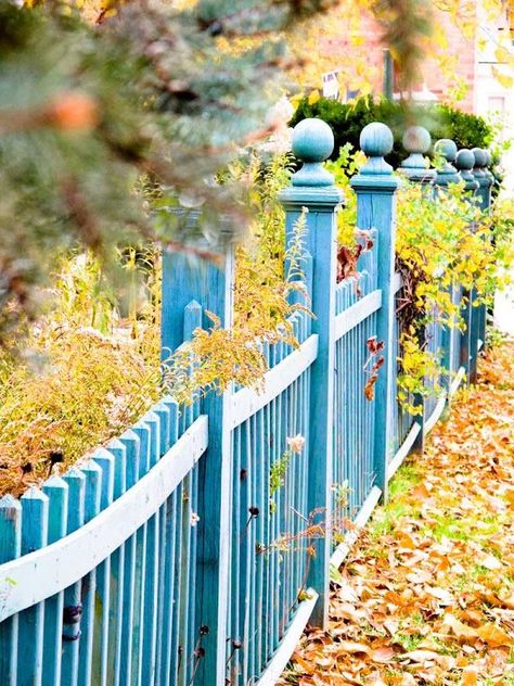 Blue House White Picket Fence, Blue Picket Fence, Blue Fence Garden, Pretty Fence, Blue Fence, England Garden, Diy Garden Fence, Picket Fences, Front Fence