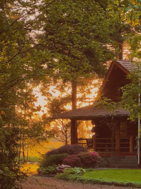 #cabin #summer #airbnb #travel Cabin In The Woods Aesthetic, Cabin Summer, Big Cabin, Summer Camp Aesthetic, A Cabin In The Woods, Old Cabin, Cabin Aesthetic, Summer Cabin, Cozy Summer