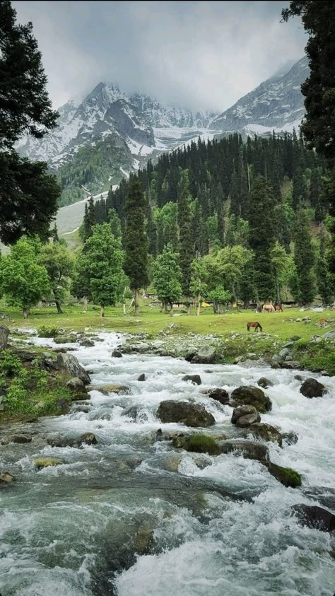 River Wallpaper Nature, River Aesthetic Wallpaper, Kashmir Wallpaper, Kashmir Mountains, Kashmir Nature, Kashmir Aesthetic, Dumas Beach, River Aesthetic, Nature Photography Quotes